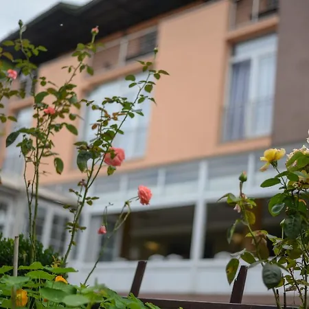 Hotel Fontana 3*